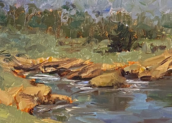 Foggy Morning Point Lobos Plein Air Landscape