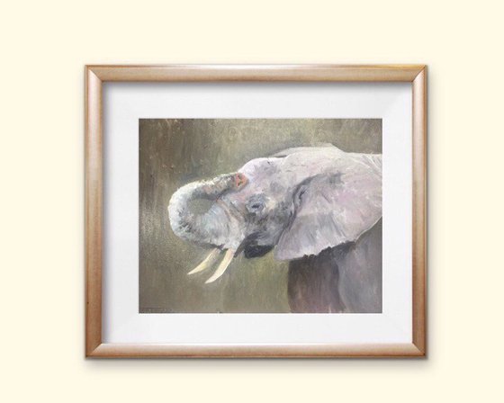 Elephant