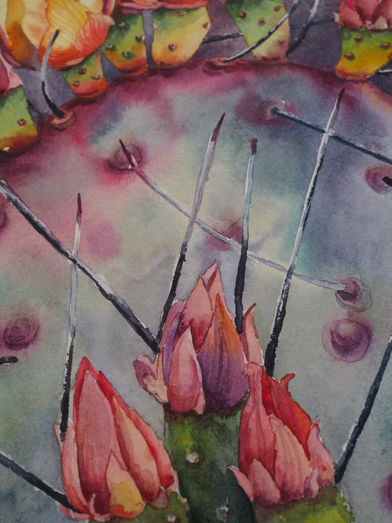 Cactus flowers - original sunny watercolor