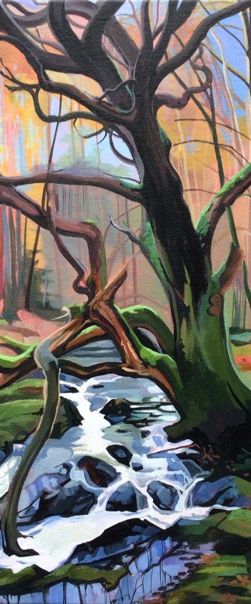 The Old Oak On The Shimna by Joseph Lynch