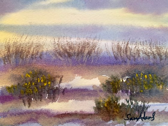 In the dunes at Studland, Dorset