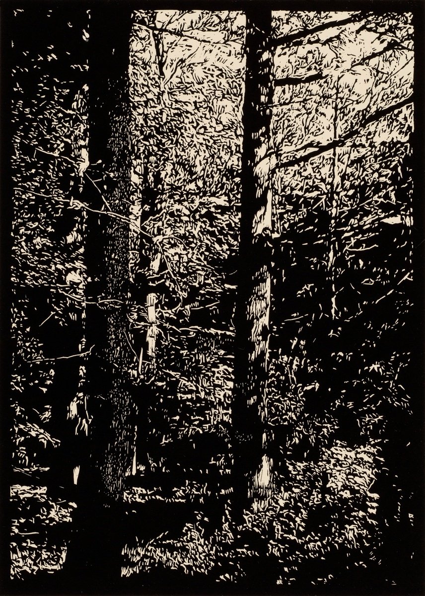 Impressionistic Landscape Linocut By David Conn, 15 X 22, Ifell, Original Artwork