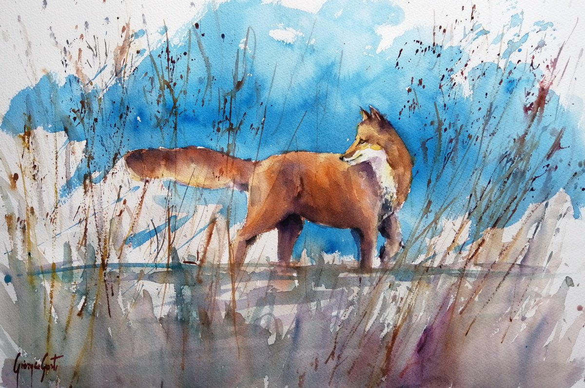 Impressionistic Watercolour , Fox 8 By Giorgio Gosti, 21 X 14, Artwork For Sale On Artfinder