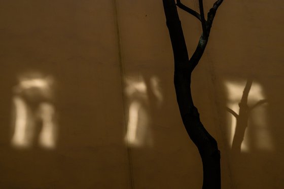Three windows