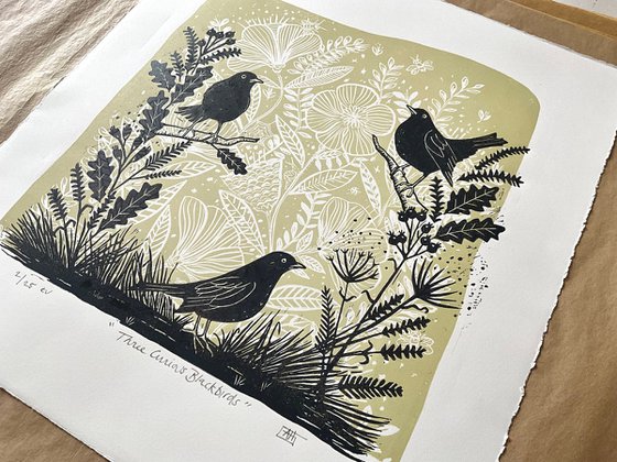 Three Curious Blackbirds