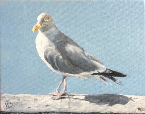 Seagull by Ira Whittaker