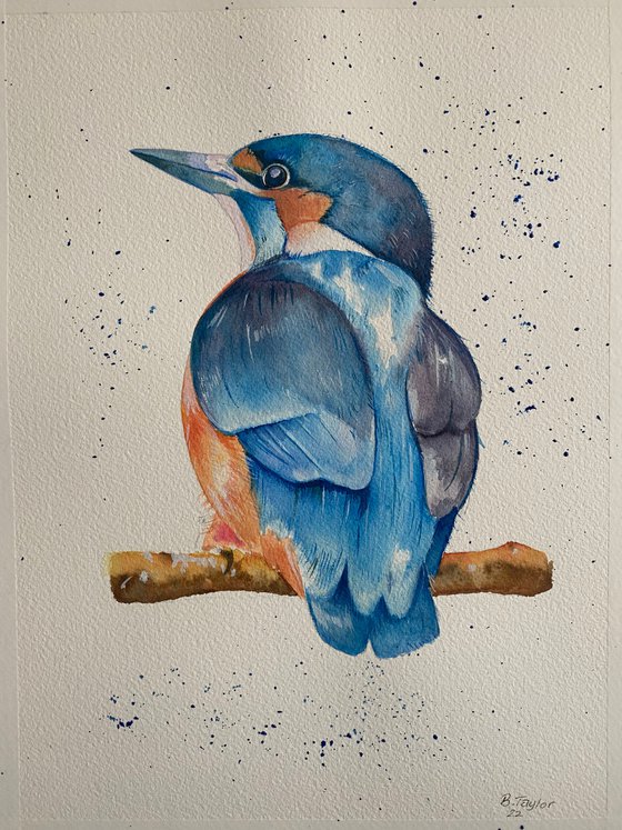 Kingfisher watercolour painting
