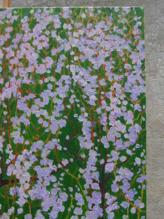 Silent Companions in Bloom