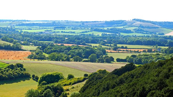 Meon Valley Panorama