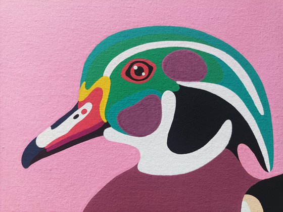 Wood Duck