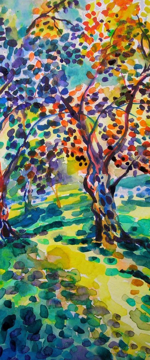 Old olive orchard VI by Maja Grecic