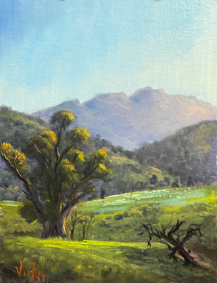 Elders Range Flinders By Christopher Vidal, 9 X 12, Artwork For Sale On Artfinder
