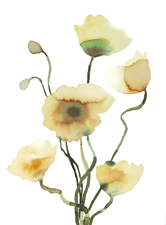 Poppies