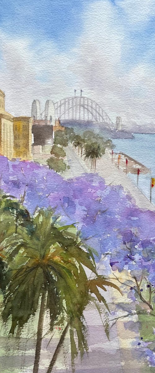 Circular quay in jacaranda season by Shelly Du