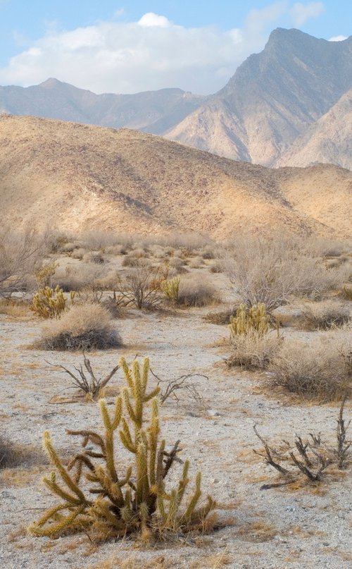 Anza Borrego #3 by Gary Moger
