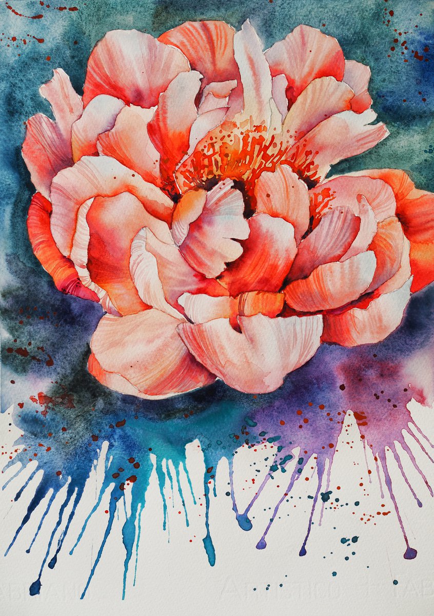 Explosive peony - original watercolor flower and splashes by Delnara El