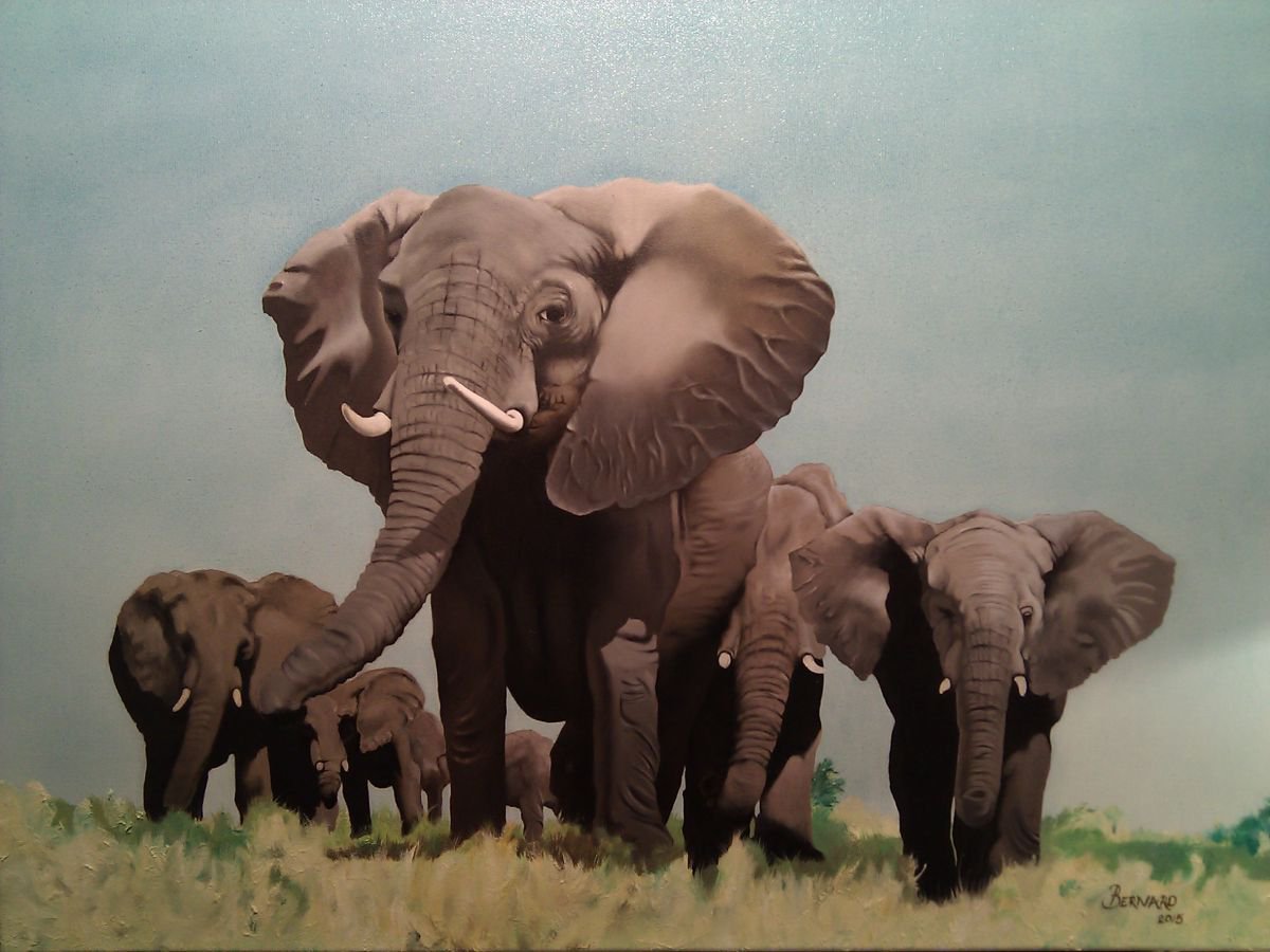 African Elephant Herd by Bernard Myburgh