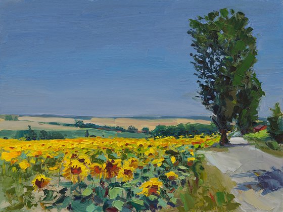 Sunflower Field