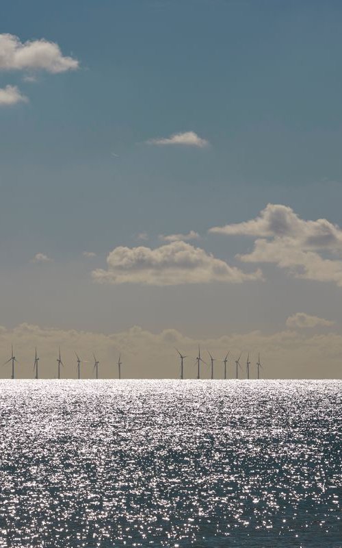 Rampion by Ed Watts