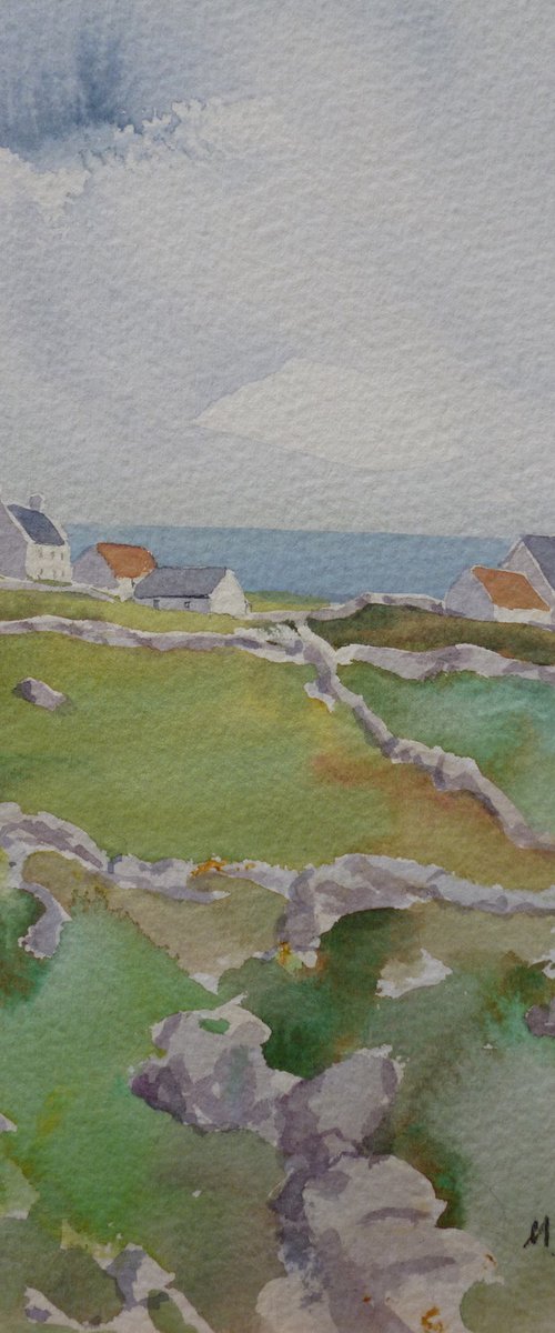 Fields of Aran by Maire Flanagan