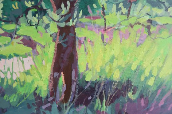 Olive Tree and Vineyard