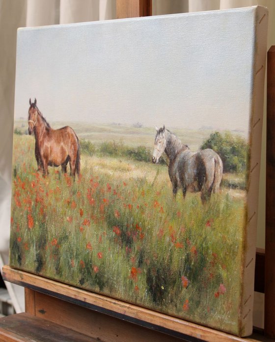 Horses in a Poppy field