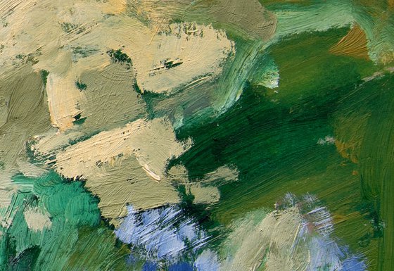 Olive Groves