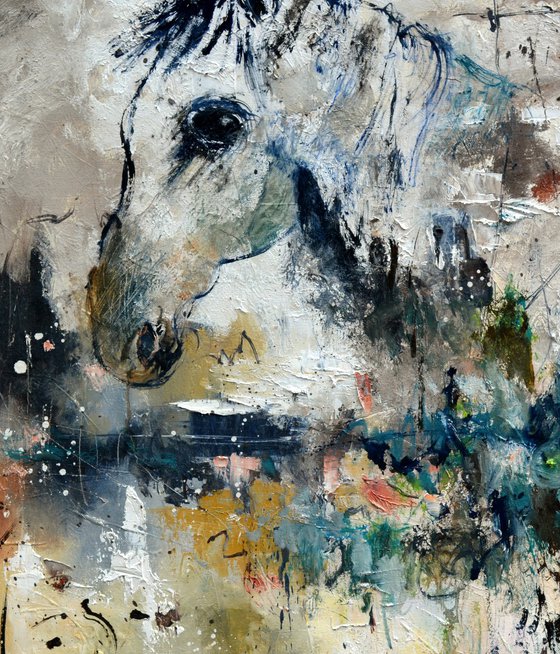 A white horse