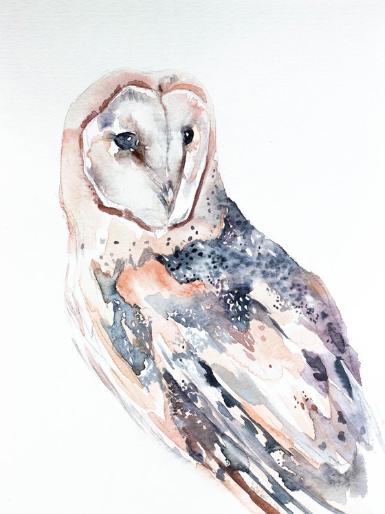 Barn Owl No. 2