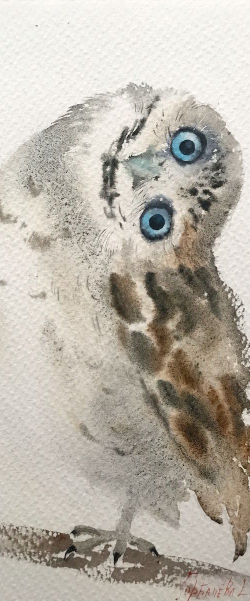 Little owl on a branch II - 19 x 28 cm by Eugenia Gorbacheva