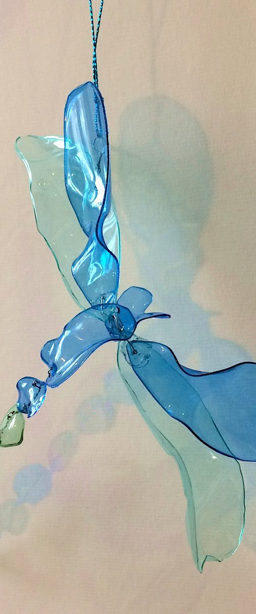 Dragonfly 1 by Jolanta Czarnecka