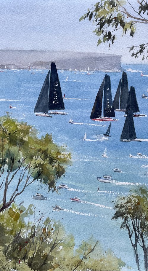Sydney Hobart race by Shelly Du