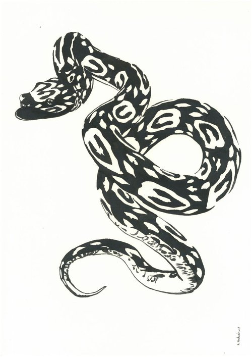 Snake I Animal Drawing by Ricardo Machado