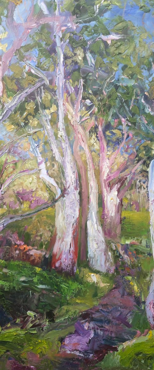 PARA WIRRA AFTER RAIN by Maureen Finck