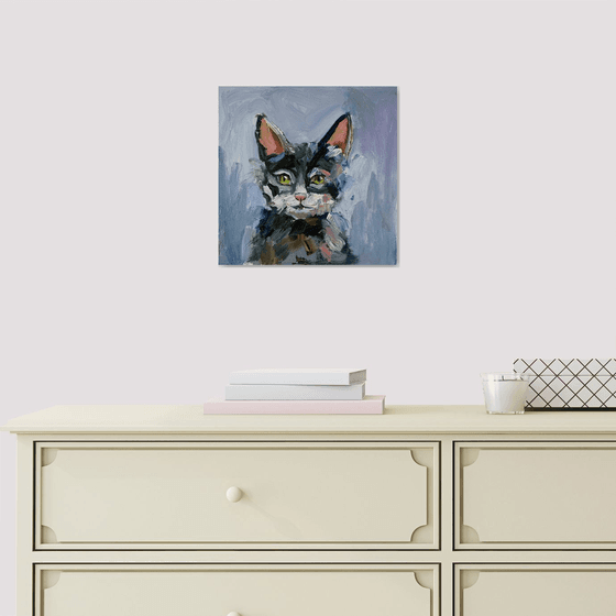 Blue black Cat portrait.