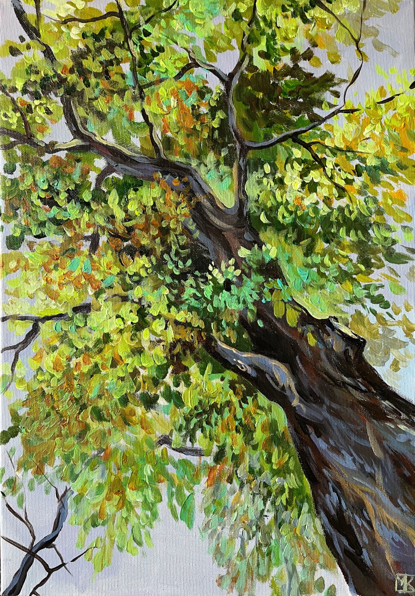 Impressionistic Landscape Acrylic Painting By Maria Kireev, 14 X 20", A Tree Of Bologna, Original Artwork
