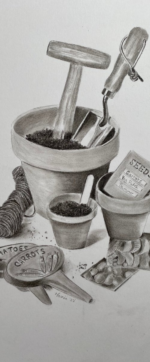 Potting up by Maxine Taylor