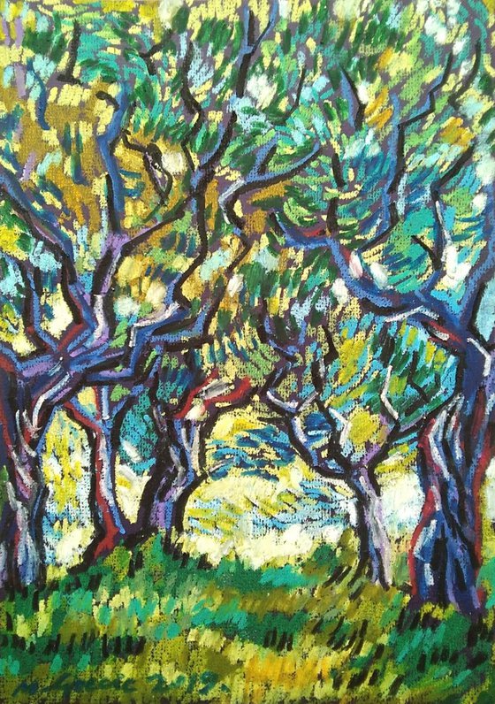 Olive grove No 12