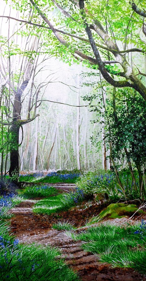 Forest Ways and Bluebell Days by Paula Oakley