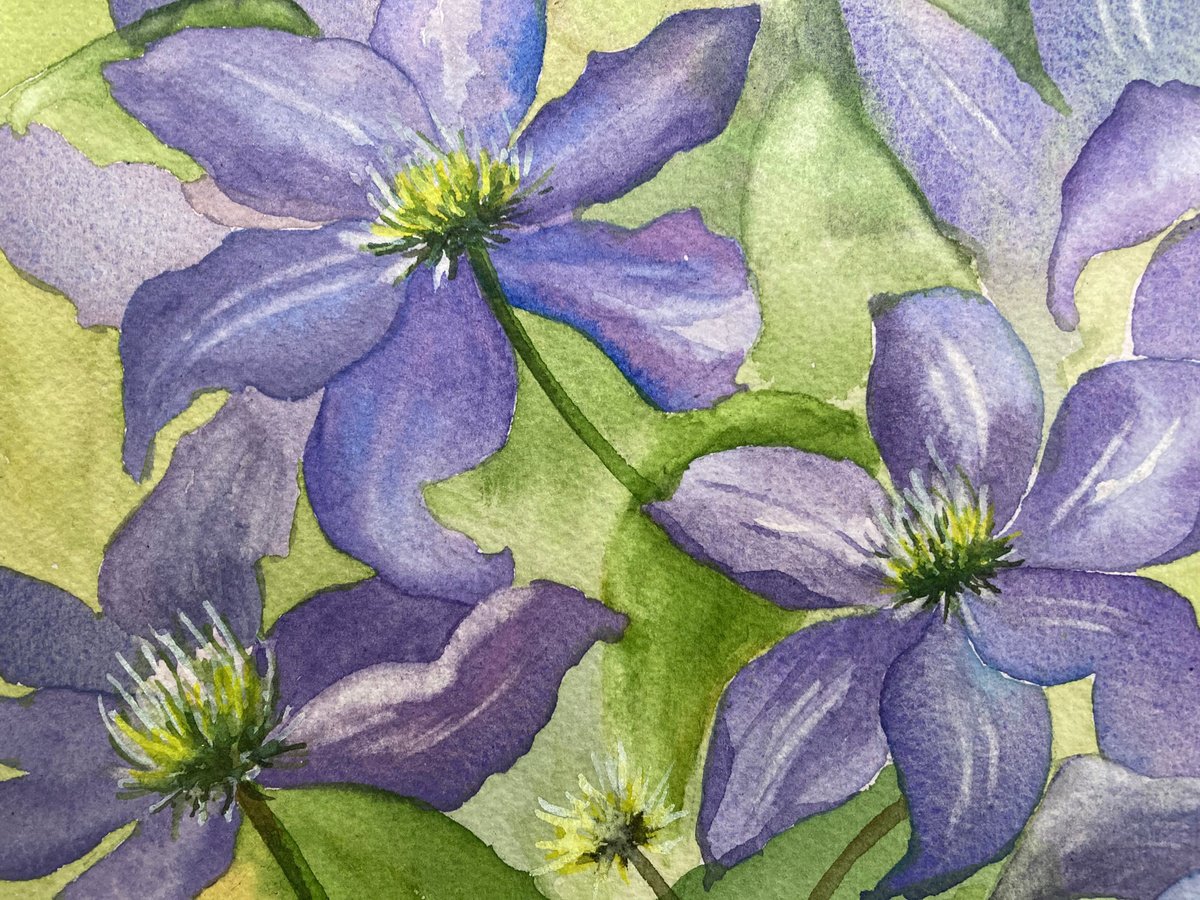 Impressionistic Botanical Watercolour By Silvie Wright, 10 X 7", Blue Clematis, Original Artwork