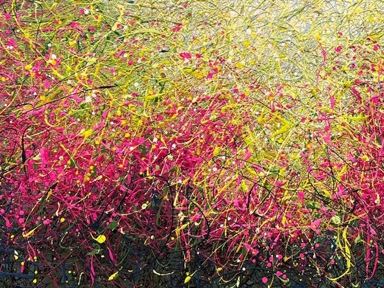 Dreaming Blooms