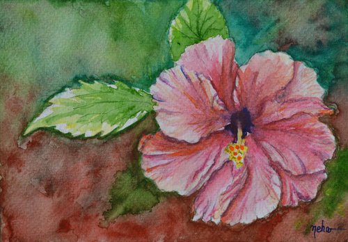 Pink hibiscus by Neha Soni