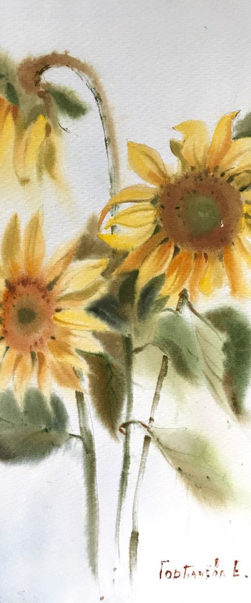 Sunflowers by Eugenia Gorbacheva