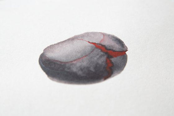Chestnut; Seeds series