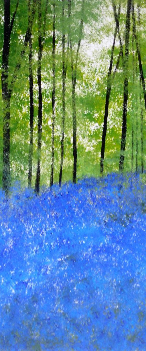 Bluebell Woods, South Warnborough, Hampshire by Jan Rippingham