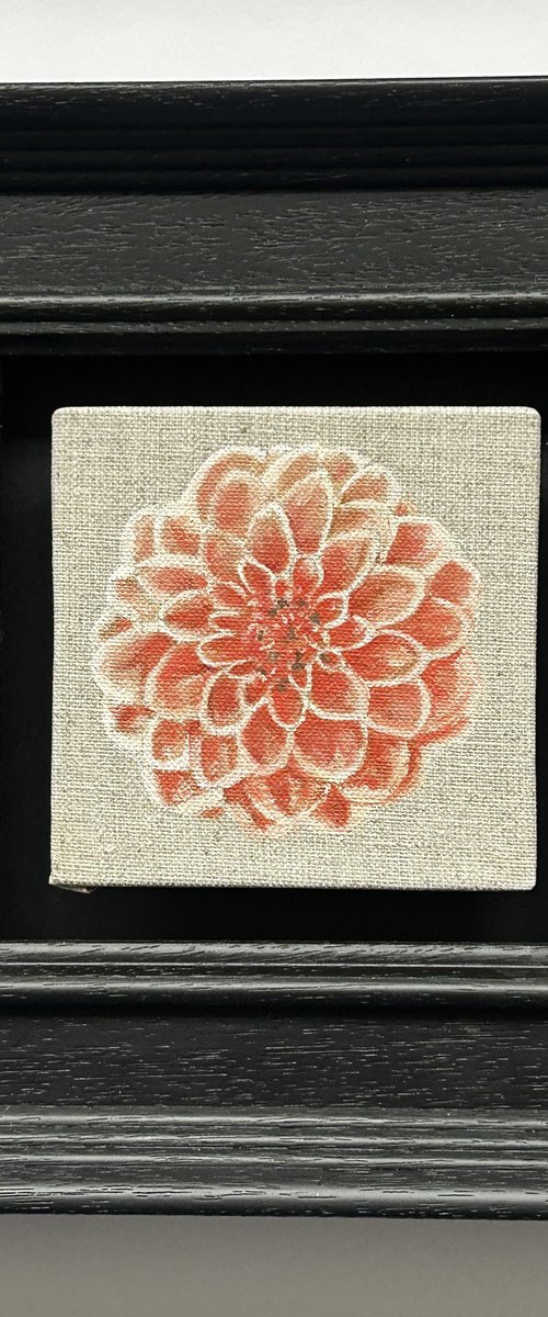 Dahlia by Kate Willows