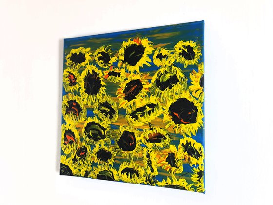Blooming sunflowers 5