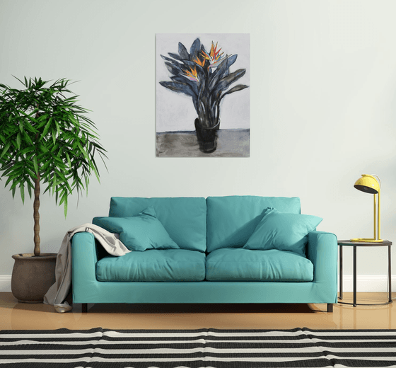 Strelitzia (bird of paradise)