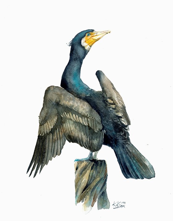 Great cormorant, back bird from the lake