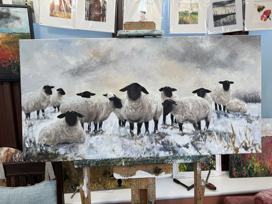 Black Face Sheep Winter